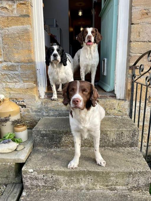 Spaniel Cottage With Views Of Ham Hill, Stoke Sub Hamdon Martock Bagian luar foto