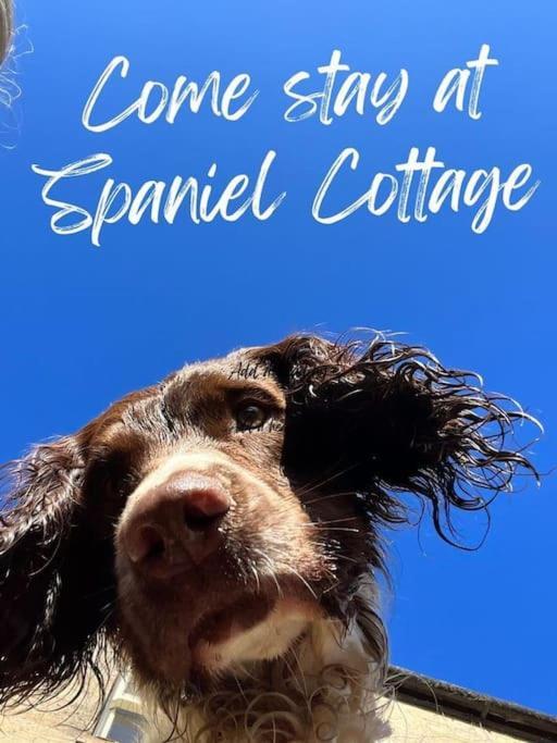 Spaniel Cottage With Views Of Ham Hill, Stoke Sub Hamdon Martock Bagian luar foto
